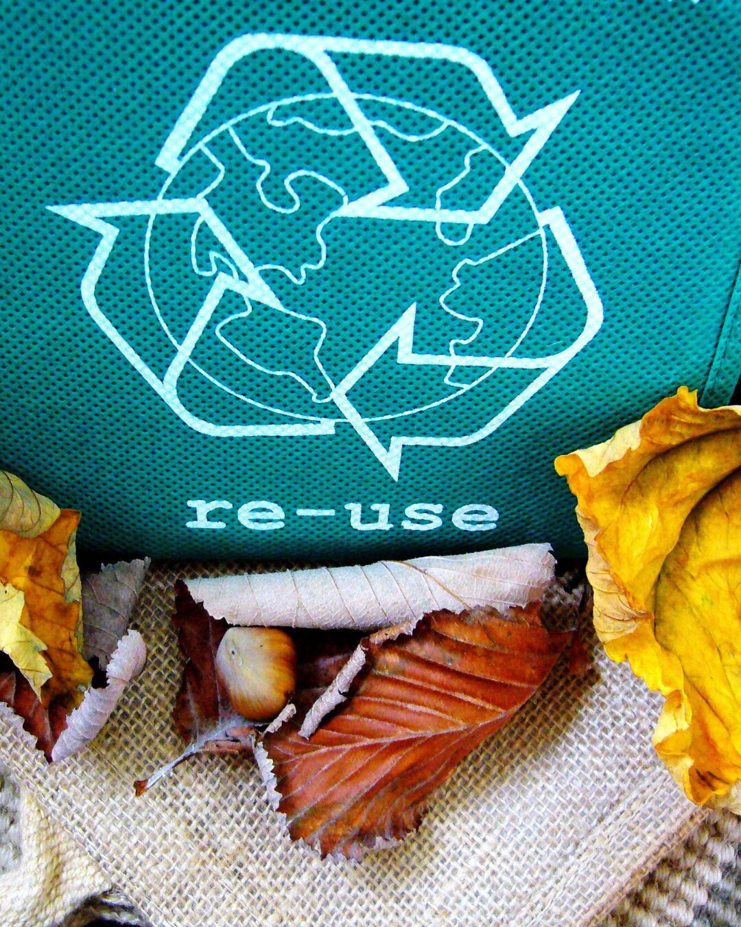 blog mehrweg statt einweg 1080x1350